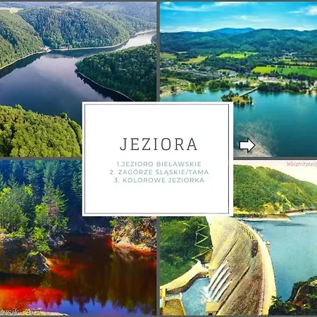 Luksusowy Apartament Na Parterze W Okolicy Jeziora I Gor Sowich Bielawa  Zewnętrze zdjęcie