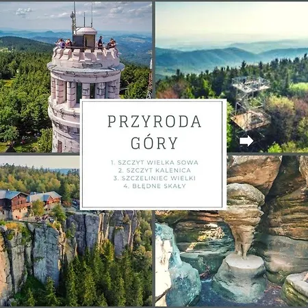Luksusowy Apartament Na Parterze W Okolicy Jeziora I Gor Sowich Bielawa  Zewnętrze zdjęcie