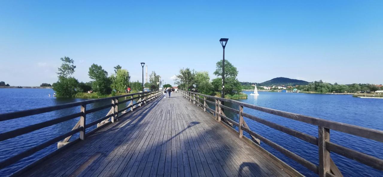 Luksusowy Na Parterze W Okolicy Jeziora I Gor Sowich Apartment